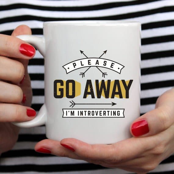 Funny Coffee Mug, Please Go Away I'm Introverting,.