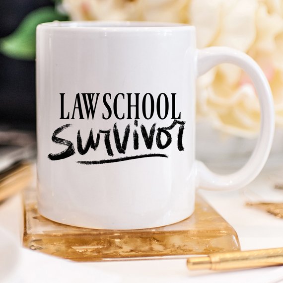 Law Student Coffee Mug, Law School Survivor, Law.